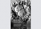 bedford-isscr1