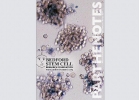 bedford-isscr2